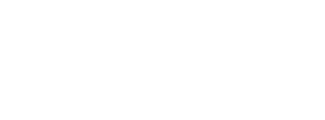 Y.Chroma Apparel Global