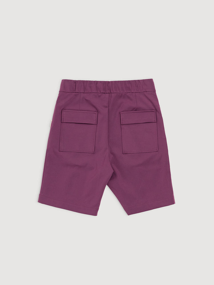 Italian Plum